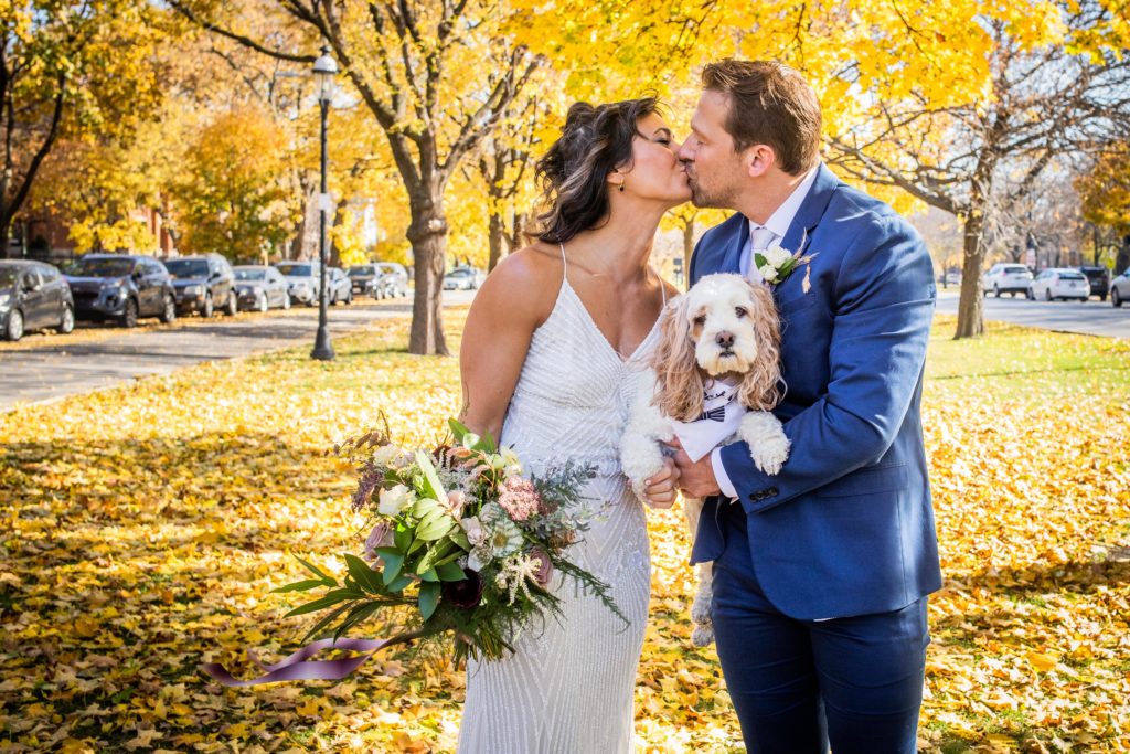 Bride and groom kiss while holding a dog on Logan Boulevard