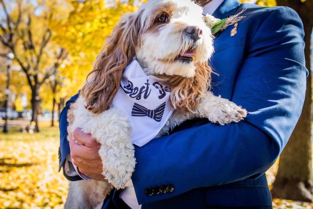 Groom holds a dog wearing a "Best Dog" bandana
