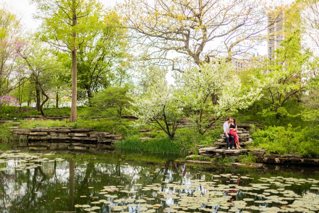 Chicago proposal photos