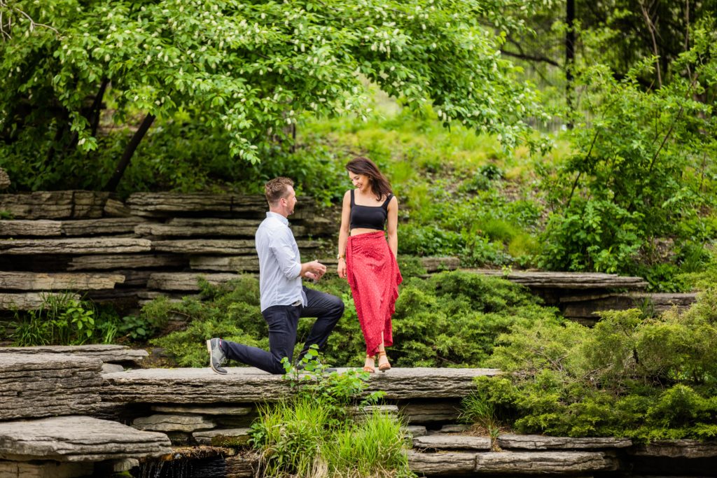 Chicago proposal photos