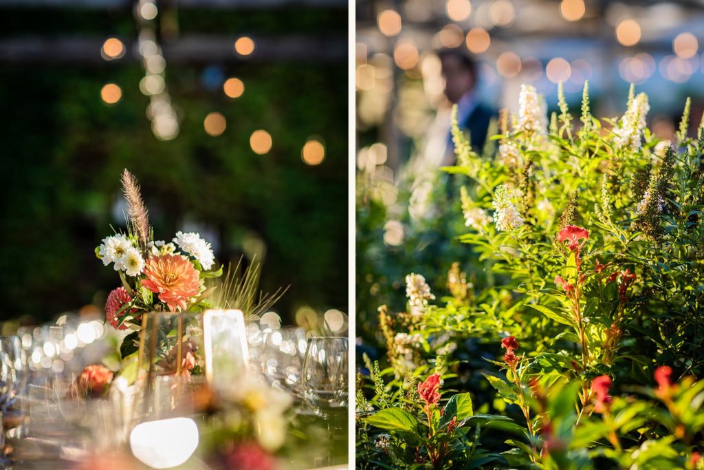 Flowers in the sunlight at a Big Delicious Planet Wedding