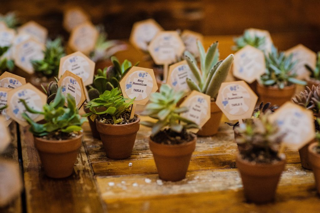Guest seating chart plants at Ovation Chicago