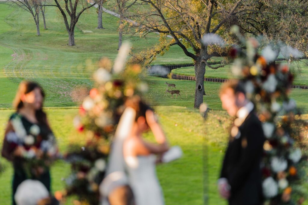 Illini Country Club wedding in Springfield