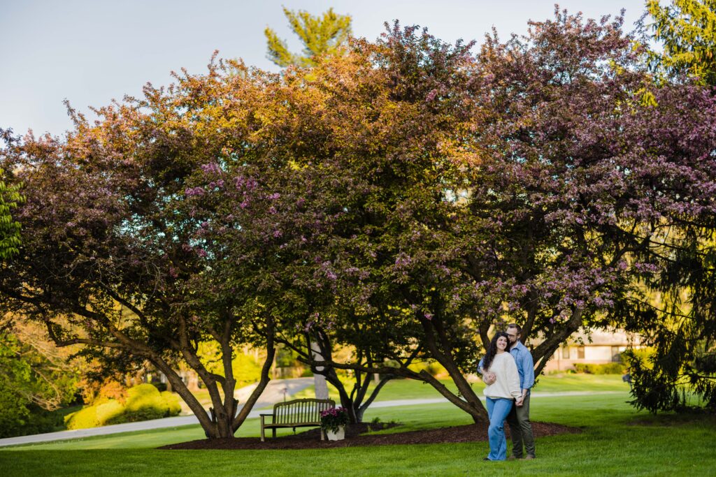 Engagement Session in Barrington, Illinois
