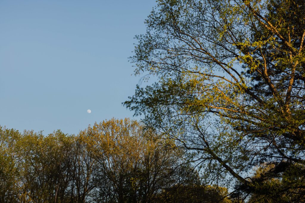 Engagement Session in Barrington, Illinois