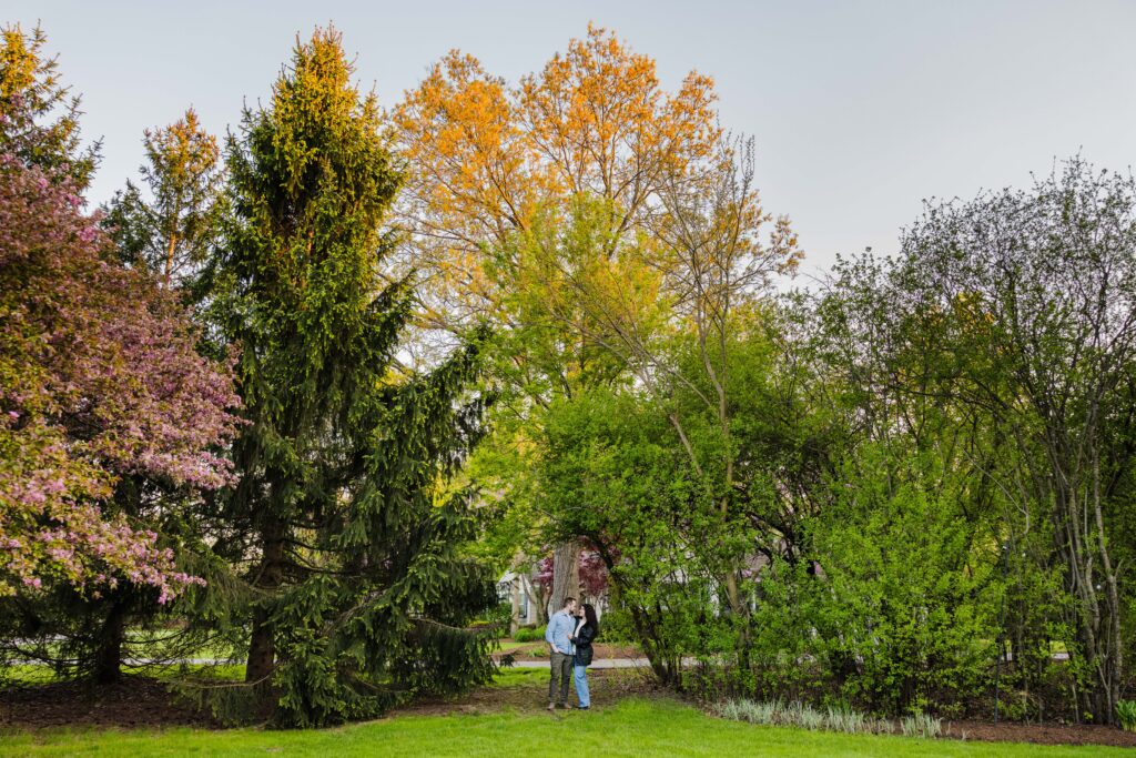 Engagement Session in Barrington, Illinois