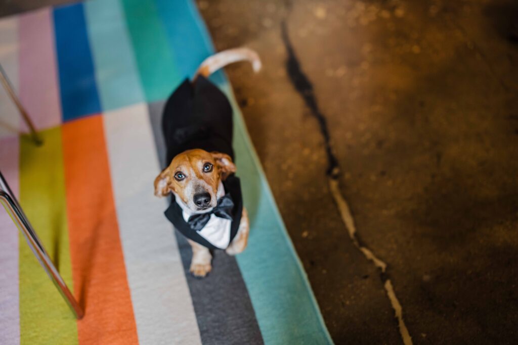 Alfred Caldwell Lily Pool Wedding
