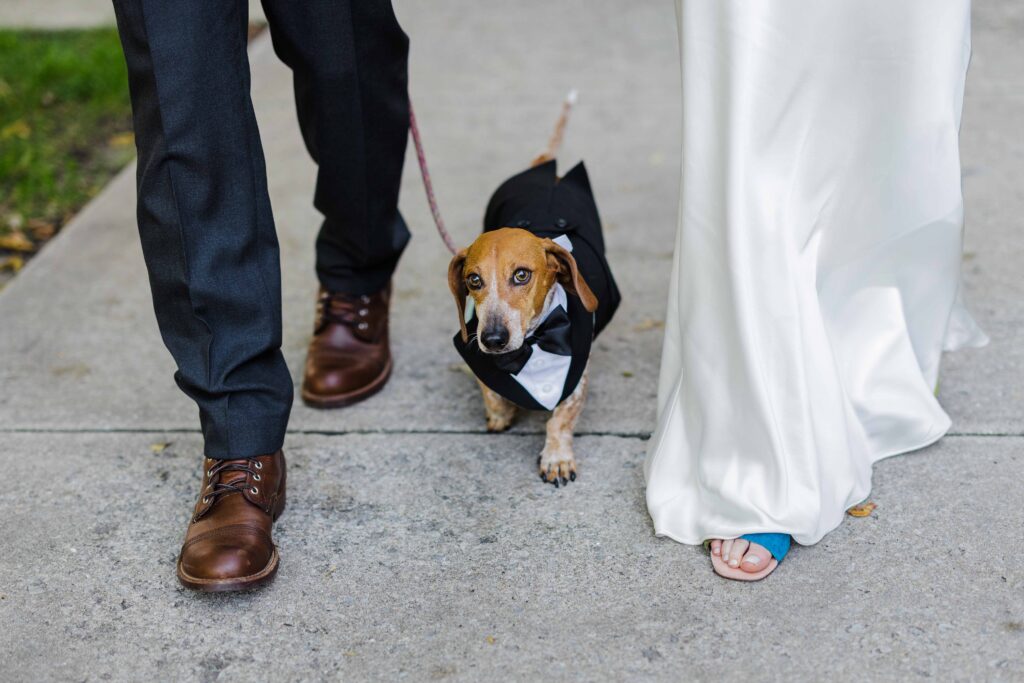 Alfred Caldwell Lily Pool Wedding