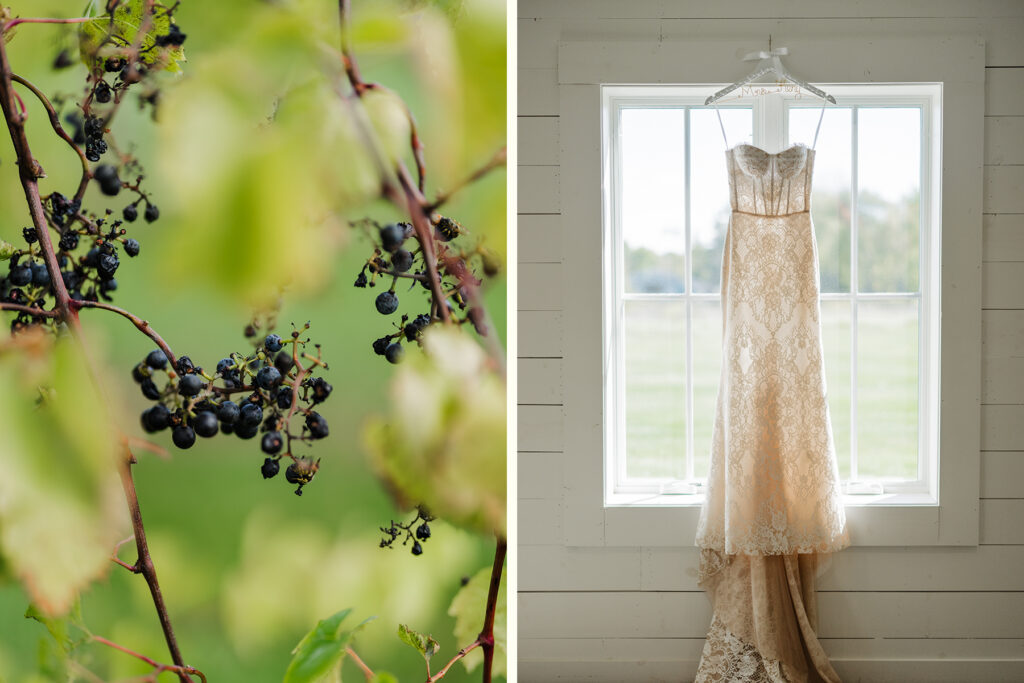 Providence Vineyard Wedding